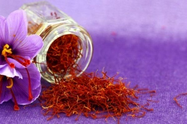 خرید توافقی زعفران در خراسان رضوی آغاز شد