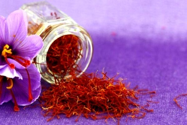 خرید توافقی زعفران در خراسان رضوی آغاز شد