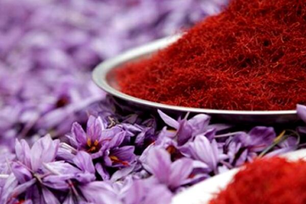 تلاش برای راه‌اندازی ‌بورس بین‌المللی زعفران