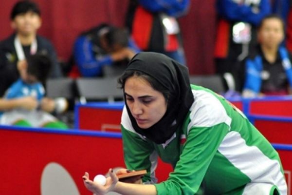 صعود 41 پله ای مریم صامت، فراز و نشیب برادران عالمیان