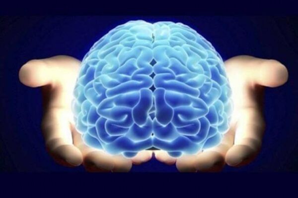 حفظ عملکرد مغز تا پنج دقیقه پس از توقف قلب