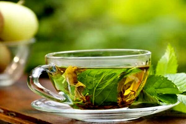 عرق نعناع خانگی تهیه کنید