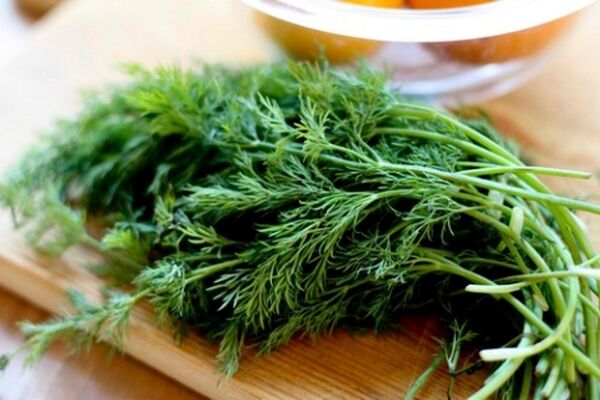 چگونه در خانه شوید پرورش دهیم؟