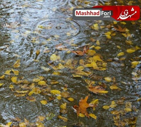 بارش اولین باران پاییزی در مشهد