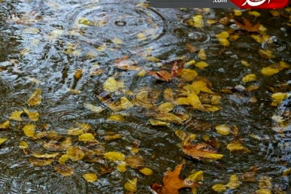 بارش اولین باران پاییزی در مشهد