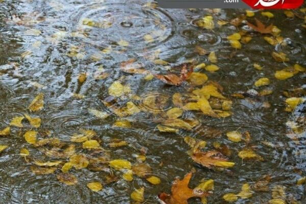بارش اولین باران پاییزی در مشهد