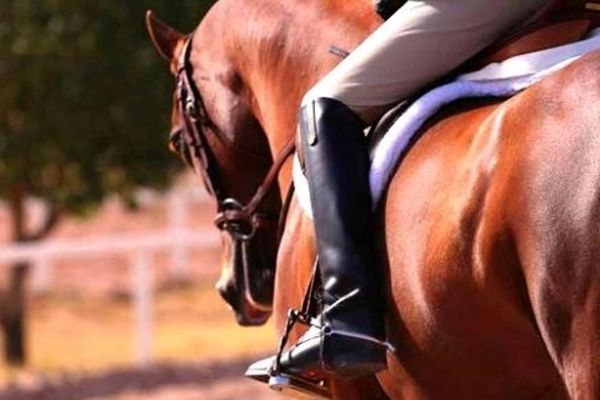 اسپانسرها هنوز پای کار حمایت از سوارکاران خراسان‌رضوی نیامده‌اند