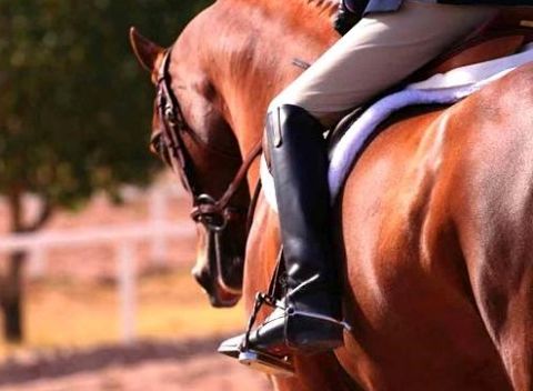 اسپانسرها هنوز پای کار حمایت از سوارکاران خراسان‌رضوی نیامده‌اند