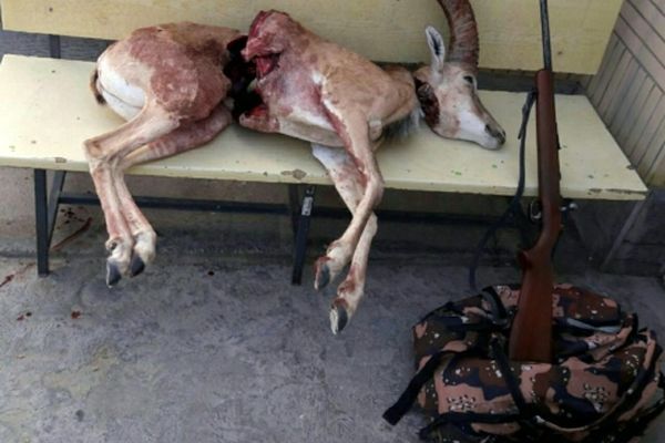 ۲شکارچی غیرمجاز درگزی دستگیر شدند