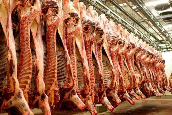 گوشت ارزان می شود؟