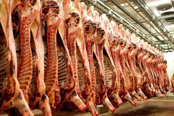 گوشت ارزان می شود؟
