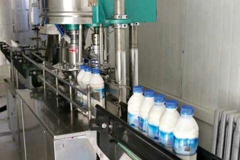 پرونده تخلف 9 شرکت بزرگ لبنی ‌به تعزیرات رفت