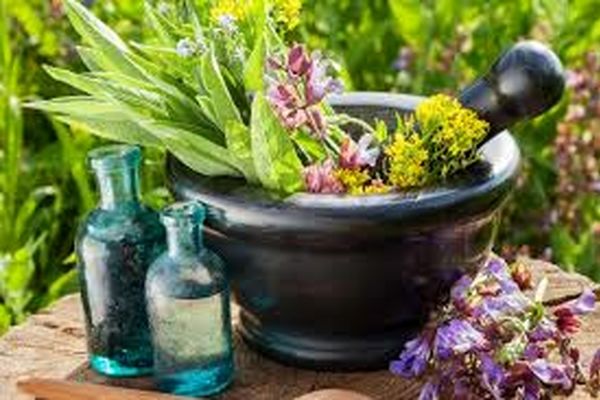 توسعه کشت گیاهان دارویی در سطح 284 هزار هکتار