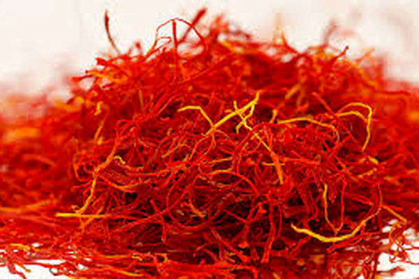 خرید توافقی ۳۰۰ تن گل زعفران در استان