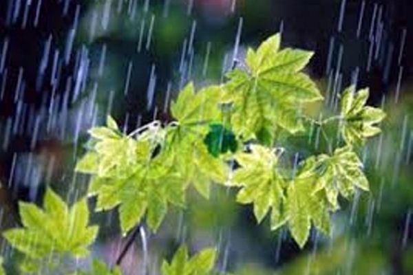 بارندگی در خراسان رضوی تا روز سه شنبه ادامه دارد