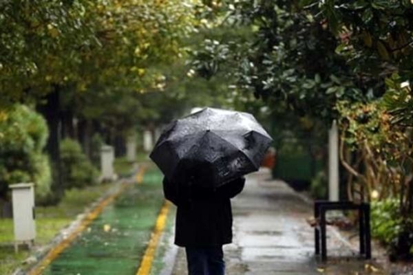 بارندگی در مشهد ادامه دارد