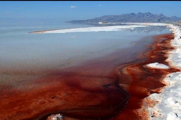 چرا دریاچه ارومیه قرمز شده است؟