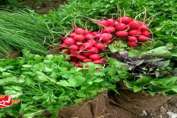 میوه‌ و سبزی که می‌خوریم، سالم‌اند؟