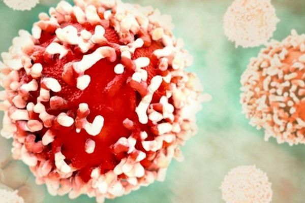  بالاخره موبایل باعث بروز سرطان می شود؟