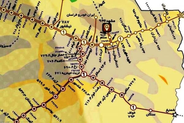 76 قطار درون استانی برای بازگشت زائران از مشهد اختصاص یافت