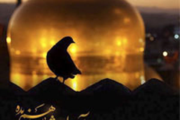 ثبت ناب ترین لحظات درقاب خاطرات عکاسان عاشق