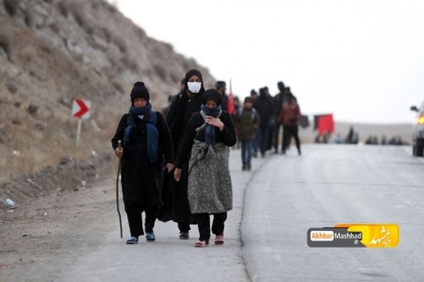 بیش از ۳۶۵۰۰۰ زائر پیاده وارد مشهدمقدس شدند