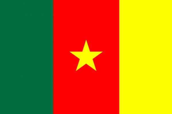 دانش‌آموزان کامرونی آزاد شدند