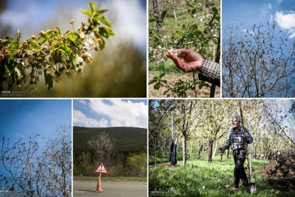 بخشودگی وام کشاورزان اجرایی نشد