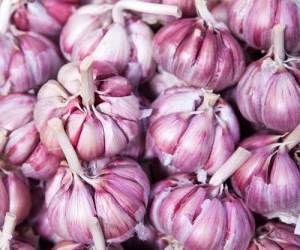 خوردن سیر خام مفیدتر است یا سیر پخته؟