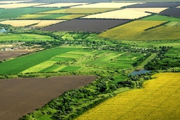 600 هکتار مزرعه در خراسان رضوی یکپارچه سازی شد