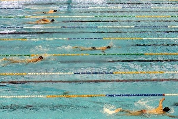 خراسان رضوی میزبان المپیاد شنای کشور می شود