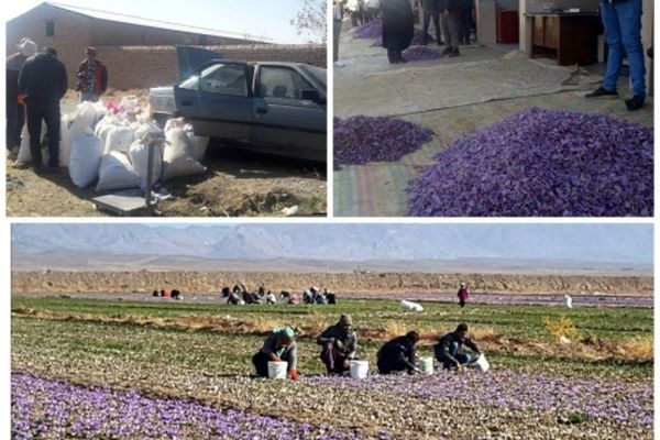 گل عزیز است غنیمت شمریدش صحبت