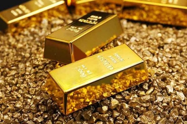 قیمت فلز زرد افزایش یافت