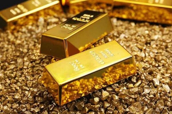قیمت فلز زرد افزایش یافت