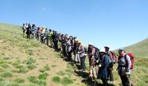 رئیس هیات کوه نوردی مشهد: قانون را یادآوری کرده‌ایم!