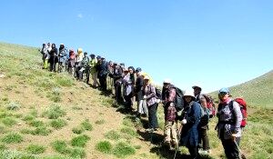 رئیس هیات کوه نوردی مشهد: قانون را یادآوری کرده‌ایم!