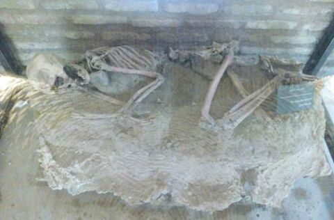 نمایش اسکلت ۵هزارساله در نیشابور+عکس