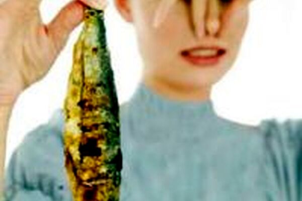 با چند روش ساده بوی ماهی را از بین ببرید