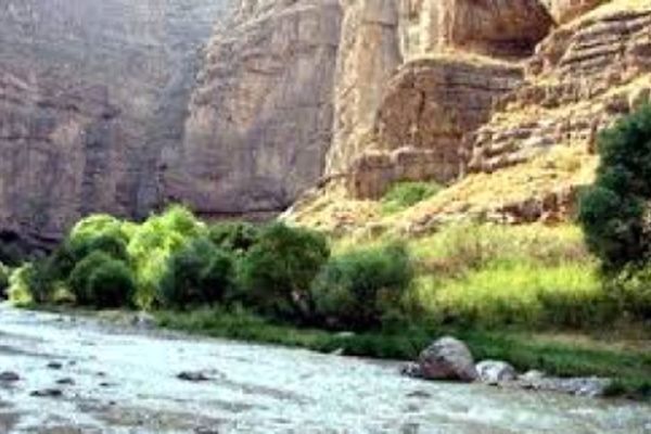 حبس عوامل تعلیف غیرمجاز در پارک ملی تندوره