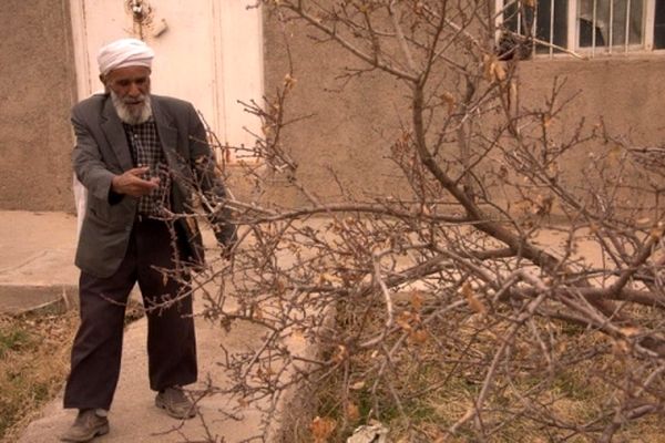 خون پاشید تا نغمه ریخت...