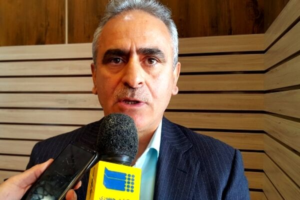 700 تن گل زعفران از کشاورزان خراسان رضوی خریداری شد