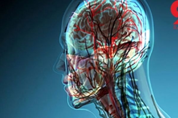 بزرگترین اندام انسان را بشناسید!+عکس