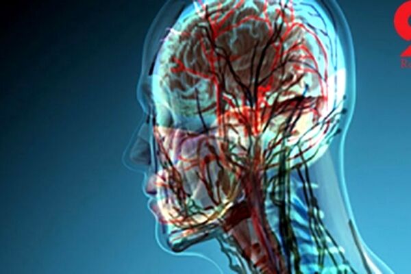 بزرگترین اندام انسان را بشناسید!+عکس