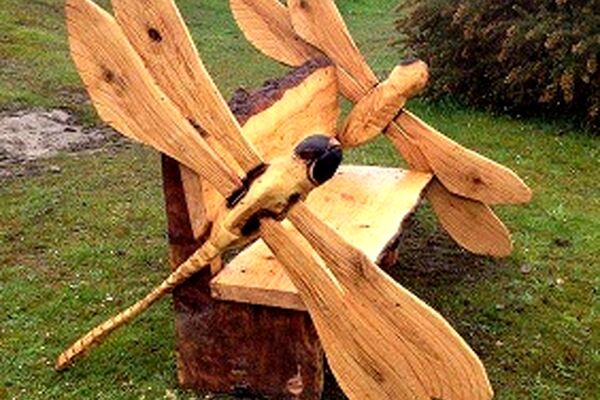 تبدیل هنرمندانه‌ی درختان خشکیده به مبلمان