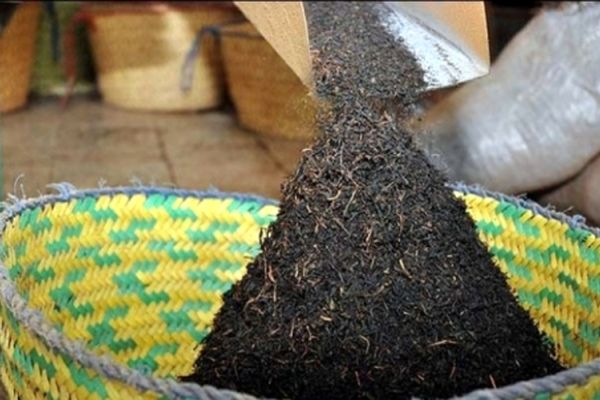 کشف‌موادی چسبنده با طعم چای! / توقیف محموله سه تنی چای در مشهد