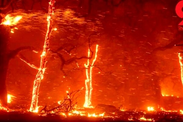 سرکشی ترامپ از مناطق سوخته کالیفرنیا+فیلم