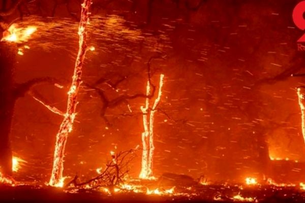 سرکشی ترامپ از مناطق سوخته کالیفرنیا+فیلم