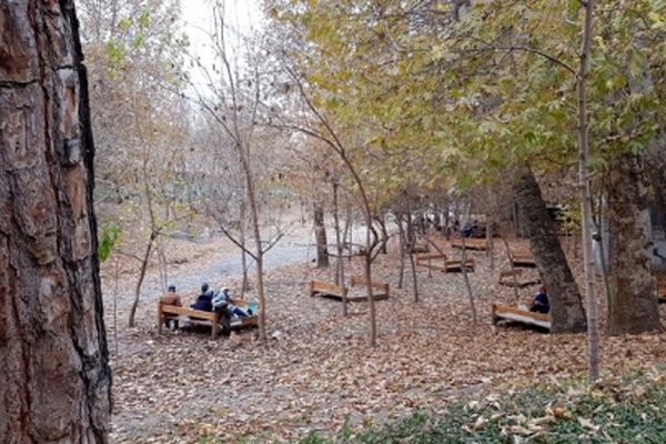 جشنواره «باغ بی‌برگی» در باغ وکیل‌آباد