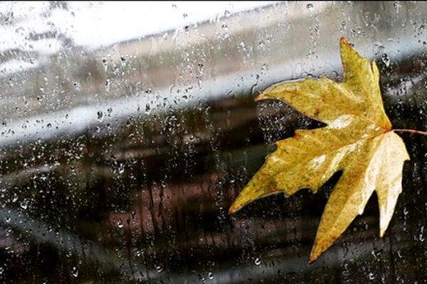 بارش زیبای باران با موسیقی باران+ فیلم