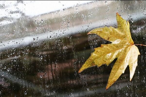 بارش زیبای باران با موسیقی باران+ فیلم